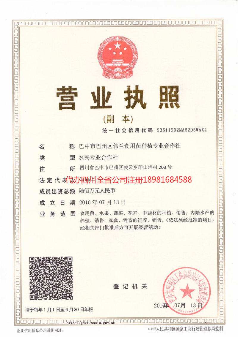 沅江沅江伟兰食用菌种植专业合作社